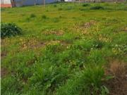 Terreno em Angeiras