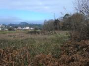Terreno em Antas