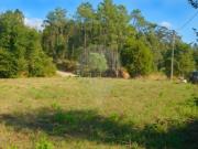 Urbanizável em Antuzede e Vil de Matos