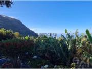Terreno em Arco da Calheta