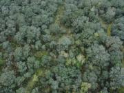 Terreno em Areias e Pias de 1080,00 m²