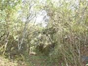 Terreno em Areias e Pias de 7520,00 m²