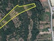 Terreno em Areias e Pias de 7520,00 m²
