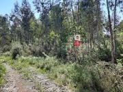 Terreno em Ares So Romo