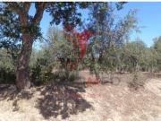 Urbanizável em Arez e Amieira do Tejo