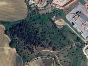 Terreno em Azambuja*RIOMAGIC