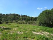 Terreno Rústico de 46.250 m² em Azeitão Natureza e...
