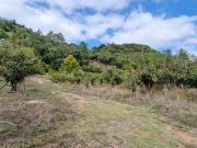 Terreno em Azueira e Sobral da Abelheira de 18259,00 m²