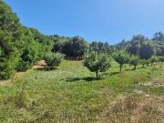 Terreno em Azueira e Sobral da Abelheira de 8187,00 m2