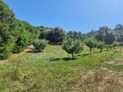 Terreno em Azueira e Sobral da Abelheira de 8187,00 m²