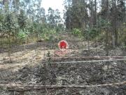 Terreno em Bagunte, Ferreiró, Outeiro Maior e Parada