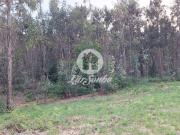 Terreno em Barcelos