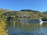 Terreno em Barqueiros