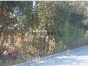 Urbanizável em Barroselas e Carvoeiro