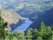 Terreno em Bem Viver