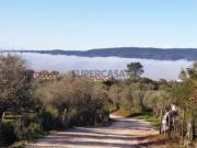 Terreno em Borba Matriz