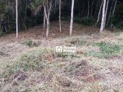 Terreno em Braunes, Nova Friburgo/RJ de 0m² à venda por...