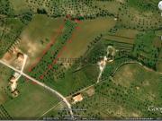 Terreno em Brogueira, Parceiros de Igreja e Alcorochel