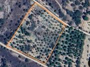 Terreno em Cabeção