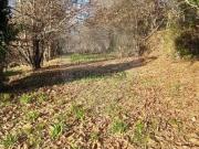 Terreno em Caldelas, Sequeiros e Paranhos