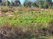 Terreno em Campelos e Outeiro da Cabeça