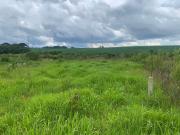 Terreno em Campo Largo Da Roseira, Campo Largo Da...