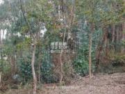 Urbanizável em Cardielos e Serreleis