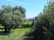 Urbanizável em Cardielos e Serreleis