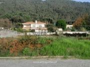 Terreno em Carreço