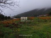 Terreno em Carreço