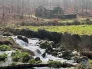 Terreno em Carvalhais e Candal de 26258,00 m²