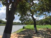 Terreno em Centro, Caucaia/CE de 0m² à venda por R$...