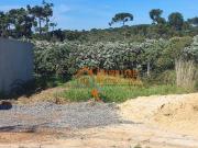 Terreno em Centro, Guarulhos/SP de 0m² à venda por R$...