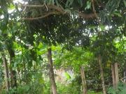 Terreno em Retiro São Joaquim, Itaboraí/RJ de 0m² à...