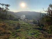 Terreno em Centro, Pirapora Do Bom Jesus/SP de 1925m² à...