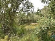 Terreno em Chãos de 4120,00 m²