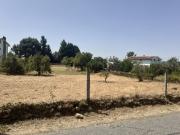 Terreno em Côja e Barril de Alva