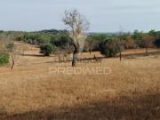 Terreno em Conceição e Estoi