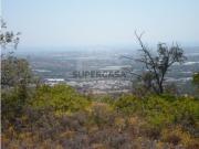 Terreno em Conceição e Estoi