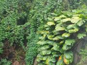 Terreno em Condomínio Arujázinho I, II e III Venda por... Terreno em Condomínio Arujázinho I, II e III Venda por...