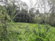 Terreno em Condomínio de Alto Padrão na Vila Verde,...