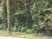 Terreno em Condomínio de Luxo à Venda em Brumadinho MG...