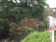 Terreno em condomínio em Barueri