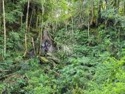 Terreno em Condomínio para Venda em Almirante...