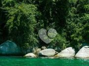Terreno em Condomínio para Venda em Angra dos Reis/RJ...