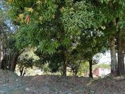 Terreno em Condomínio para Venda em Aparecida de...