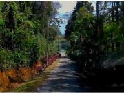 Terreno em Condomínio para Venda em Atibaia/SP Jardim...