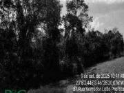 Terreno em Condomínio para Venda em Atibaia/SP Mato Dentro