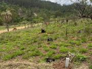 Terreno em Condomínio para Venda em Atibaia/SP Parque...