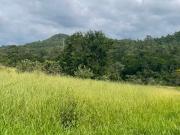 Terreno em Condomínio para Venda em Atibaia/SP Terras de...